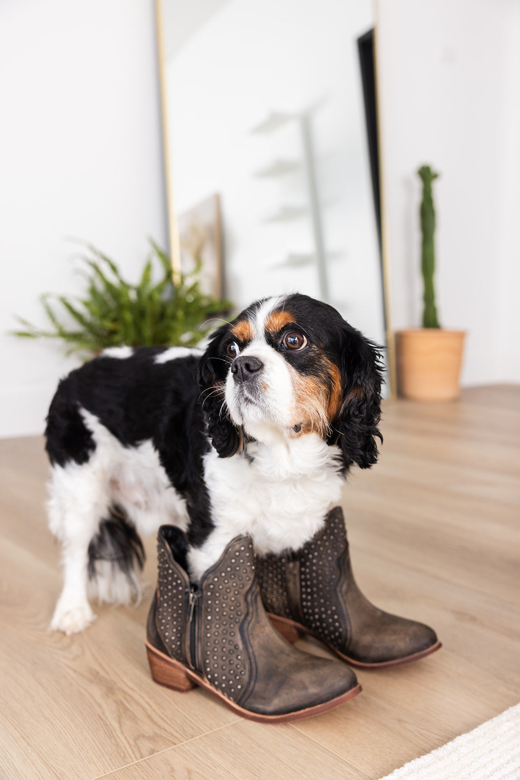 Nailed It Ankle Boot